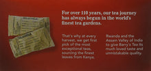 Load image into Gallery viewer, Barry&#39;s Tea Gold Blend Tea Bags (80 Bags)
